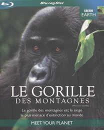 Image du média "LE GORILLE DES MONTAGNES - Blu-Ray de Jonny KEELING"