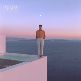 Image du média "PURPLE NOON de WASHED OUT"