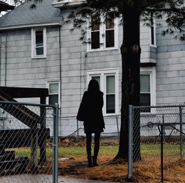 Image du média "DARK BIRD IS HOME de THE TALLEST MAN ON EARTH"