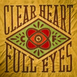 Image du média "CLEAR HEART FULL EYES de Craig FINN"