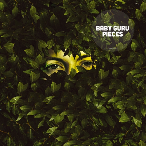 Couverture PIECES de BABY GURU