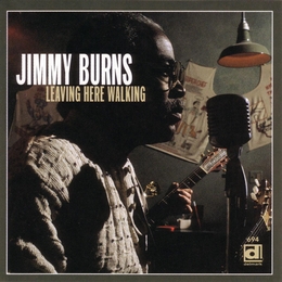 Image du média "LEAVING HERE WALKING de Jimmy BURNS"