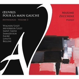 Image du média "ZECCHINI - OEUVRES POUR LA MAIN GAUCHE - ANTHOLOGIE: VOL.3"