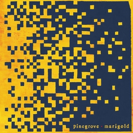 Image du média "MARIGOLD de PINEGROVE"