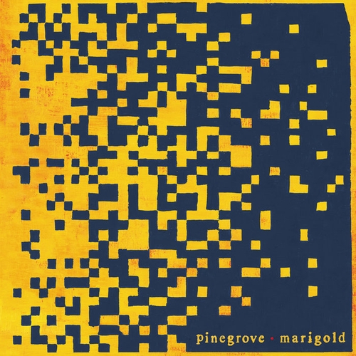 Couverture MARIGOLD de PINEGROVE