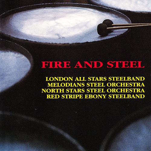 Couverture FIRE AND STEEL