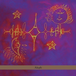 Image du média "ALEPH de Terry RILEY"