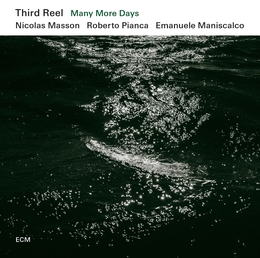 Image du média "MANY MORE DAYS de THIRD REEL"