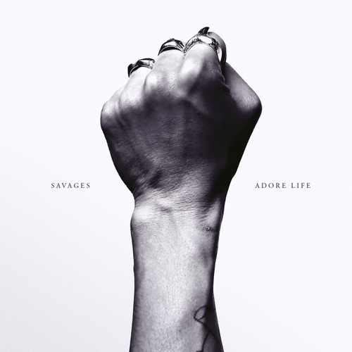 Couverture ADORE LIFE de SAVAGES