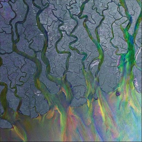 Couverture AN AWESOME WAVE de ALT-J