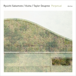 Image du média "PERPETUAL de Ryuchi SAKAMOTO, ILLUHA, TAYLOR DEUPREE"