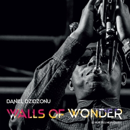 Image du média "WALLS OF WONDER de Daniel DZIDZONU"