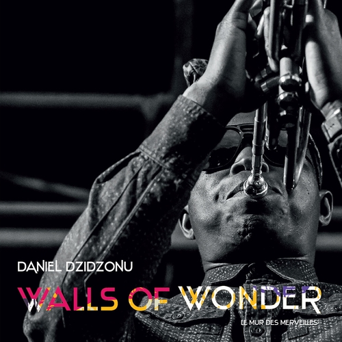 Couverture WALLS OF WONDER de Daniel DZIDZONU