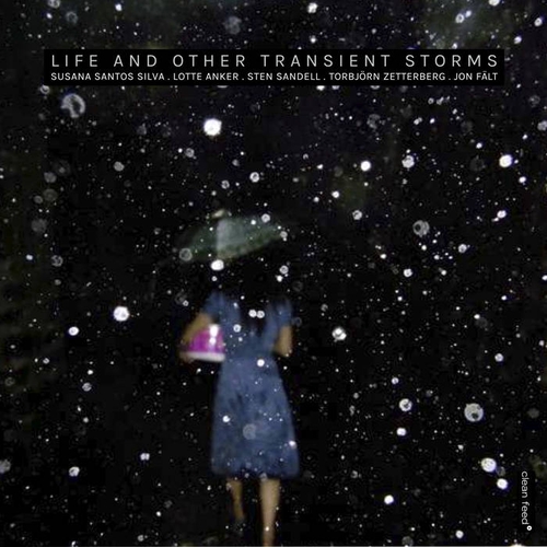 Couverture LIFE AND OTHER TRANSIENT STORMS de Susana Santos SILVA/ANKER/SANDELL/ZETTERBERG/FÄLT