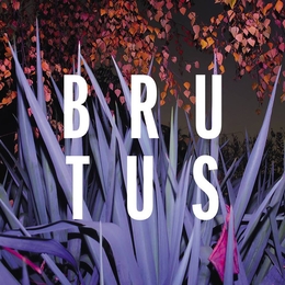 Image du média "BURST de BRUTUS"