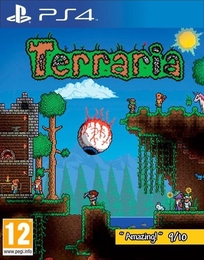 Image du média "TERRARIA de 505 GAMES"