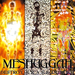 Image du média "DESTROY ERASE IMPROVE de MESHUGGAH"