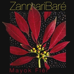 Image du média "MAYOK FLÉR de Zanmari BARÉ"