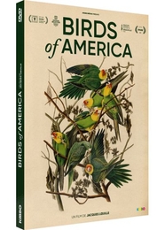 Image du média "BIRDS OF AMERICA de Jacques LOEUILLE"