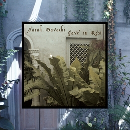 Image du média "GAVE IN REST de Sarah DAVACHI"