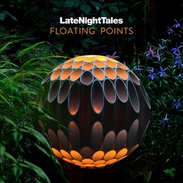 Image du média "LATENIGHTTALES de FLOATING POINTS"