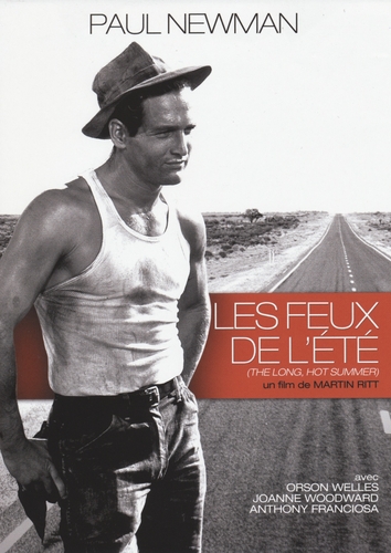 Couverture LES FEUX DE L'ÉTÉ de Martin RITT