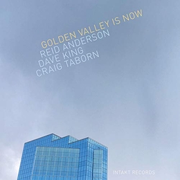 Image du média "GOLDEN VALLEY IS NOW de Reid ANDERSON, DAVE KING, CRAIG TABORN"