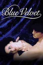 Image du média "BLUE VELVET de David LYNCH"