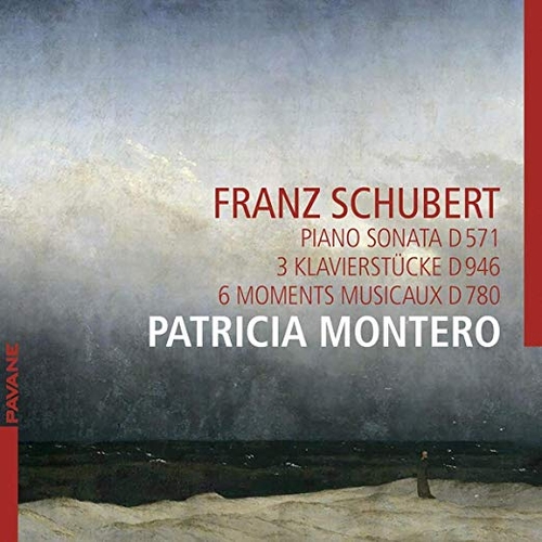 Couverture SONATE PIANO 9 D.571 / KLAVIERSTÜCKE / 6 MOMENTS MUSICAUX de Franz SCHUBERT