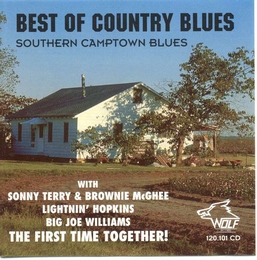 Image du média "BEST OF COUNTRY BLUES (SOUTHERN CAMPTOWN BLUES)"