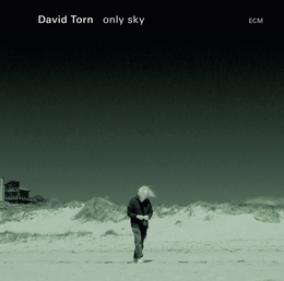 Image du média "ONLY SKY de David TORN"