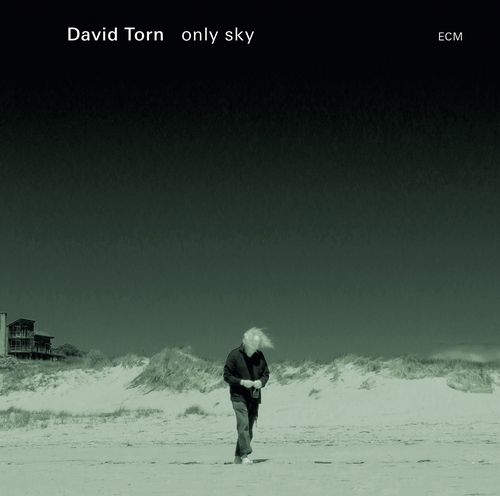 Couverture ONLY SKY de David TORN