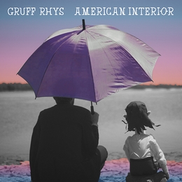 Image du média "AMERICAN INTERIOR de Gruff RHYS"