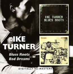 Image du média "BLUES ROOTS / BAD DREAMS de IKE TURNER"