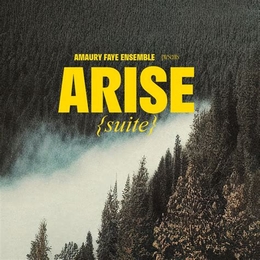 Image du média "ARISE (SUITE) de Amaury FAYE ENSEMBLE"