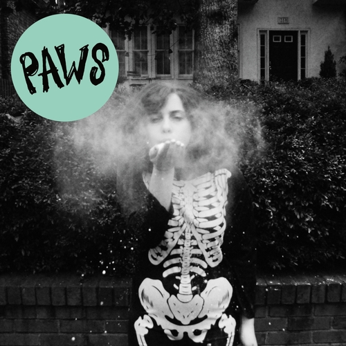 Couverture YOUTH CULTURE de PAWS