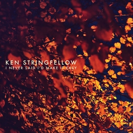 Image du média "I NEVER SAID I'D MAKE IT EASY de Ken STRINGFELLOW"