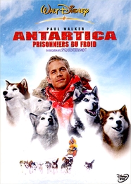 Image du média "ANTARCTICA, PRISONNIERS DU FROID de Frank MARSHALL"