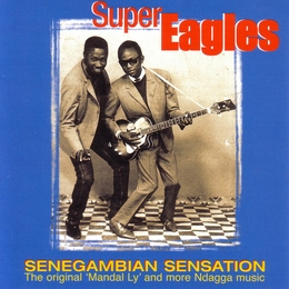 Image du média "SENEGAMBIAN SENSATION de SUPER EAGLES"