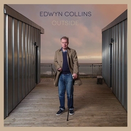 Image du média "BADBEA de Edwyn COLLINS"