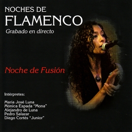 Image du média "NOCHES DE FLAMENCO. NOCHE DE FUSION"