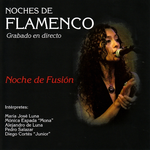 Couverture NOCHES DE FLAMENCO. NOCHE DE FUSION