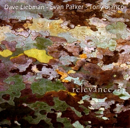 Image du média "RELEVANCE de Dave LIEBMAN, PARKER, BIANCO"