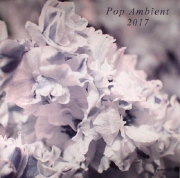 Image du média "KOMPAKT - POP AMBIENT 2017"