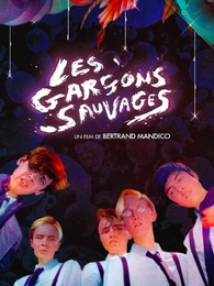 Image du média "LES GARÇONS SAUVAGES de Bertrand MANDICO"