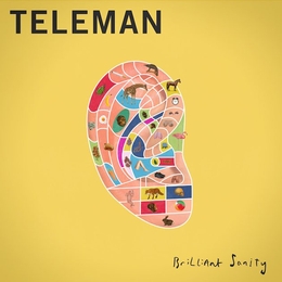 Image du média "BRILLIANT SANITY de TELEMAN"