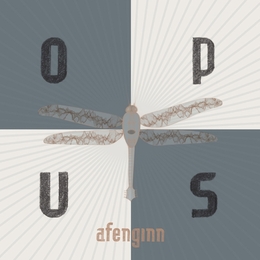 Image du média "OPUS de AFENGINN"