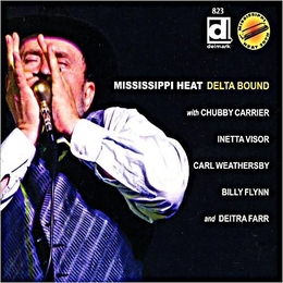 Image du média "DELTA BOUND de MISSISSIPPI HEAT"