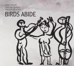 Image du média "BIRDS ABIDE de Barre PHILLIPS/JAUNIAUX/GOLDSTEIN"