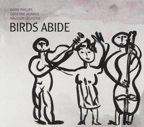 Couverture BIRDS ABIDE de Barre PHILLIPS/JAUNIAUX/GOLDSTEIN